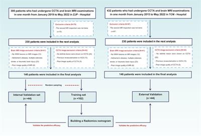 Hybrid model of CT-fractional flow reserve, pericoronary fat attenuation index and radiomics for predicting the progression of WMH: a dual-center pilot study